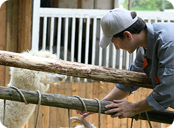 EZVIZ HB90x Dual-Lens All-Day Recording 4G Camera
+Solar Panel 8W