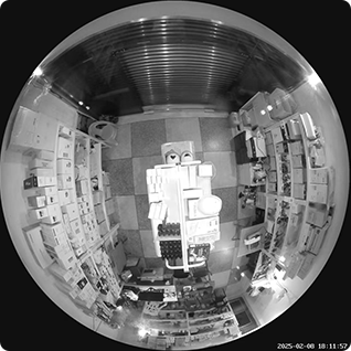 EZVIZ E4p Smart Wi-Fi Panoramic Fisheye Camera