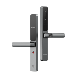 DL06