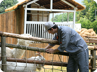 EZVIZ HB90x Dual-Lens All-Day Recording 4G Camera
+Solar Panel 8W