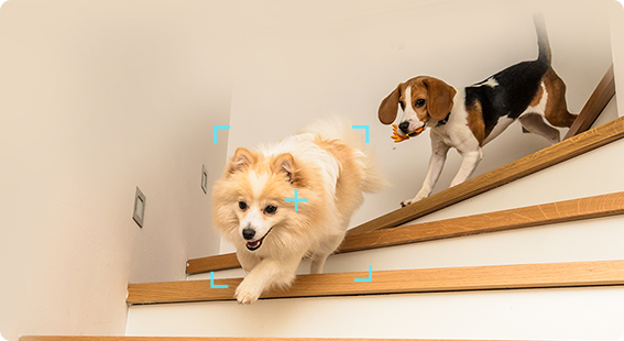 C7 Dual-Lens Pan & Tilt Wi-Fi Camera