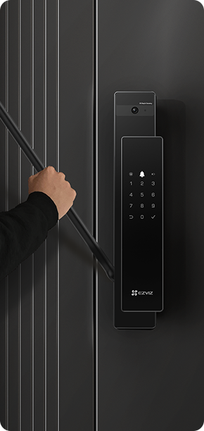 DL50FVS Plus Face Recognition & Palm Vein Smart Lock