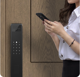 EZVIZ Y3000FVP Plus Face Recognition & Palm Vein Smart Lock