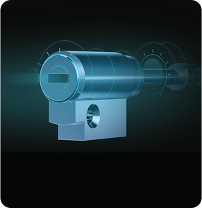 DL50FVS Plus Face Recognition & Palm Vein Smart Lock