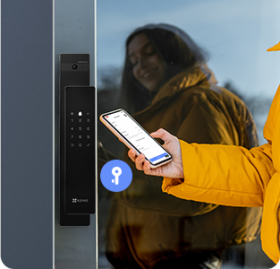 DL50FVS Plus Face Recognition & Palm Vein Smart Lock