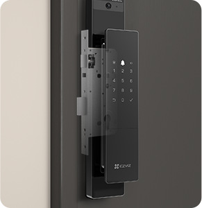DL50FVS Plus Face Recognition & Palm Vein Smart Lock