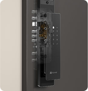 DL50FVS Plus Face Recognition & Palm Vein Smart Lock