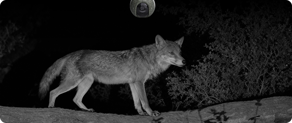 EZVIZ EB8 Pro Ranger + Solar Panel 8W - 4G & Wi-Fi Smart Home Battery Camera Kit