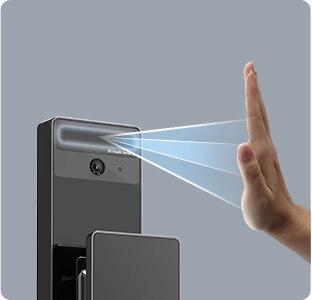 DL50FVS Plus Face Recognition & Palm Vein Smart Lock