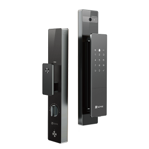 DL50 FVS Plus (6068)
