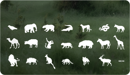 EB8 Pro 4G - 4G & Wi-Fi Smart Home Battery Camera