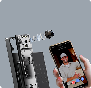 DL50FVS Plus Face Recognition & Palm Vein Smart Lock