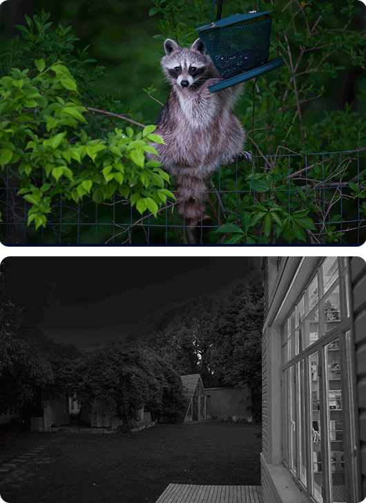 EZVIZ EB8 Pro Ranger + Solar Panel 8W - 4G & Wi-Fi Smart Home Battery Camera Kit