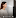 EZVIZ Y3000FVP Plus Face Recognition & Palm Vein Smart Lock