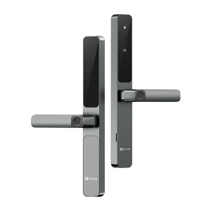 DL06 Pro