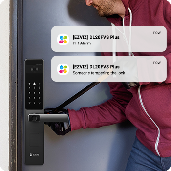 EZVIZ DL20FVS Plus Face Recognition & Palm Vein Handheld Smart Lock