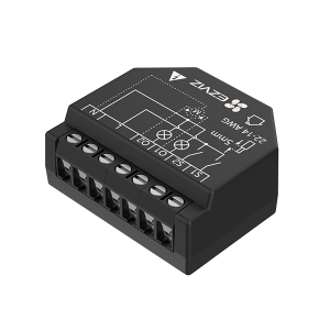 T36