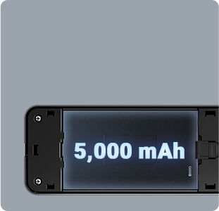 DL50FVS Plus Face Recognition & Palm Vein Smart Lock