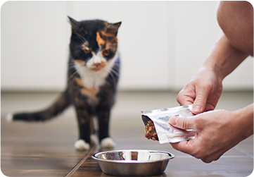 EZVIZ Y3000FVP Plus Face Recognition & Palm Vein Smart Lock