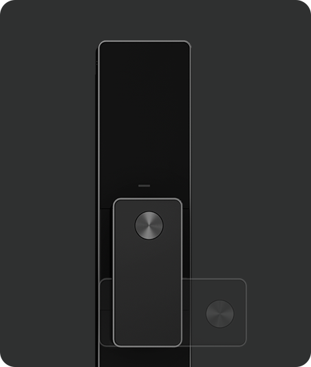 DL50FVS Plus Face Recognition & Palm Vein Smart Lock