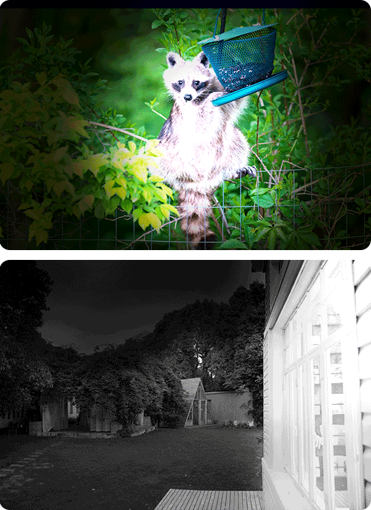 EZVIZ EB8 Pro Ranger + Solar Panel 8W - 4G & Wi-Fi Smart Home Battery Camera Kit