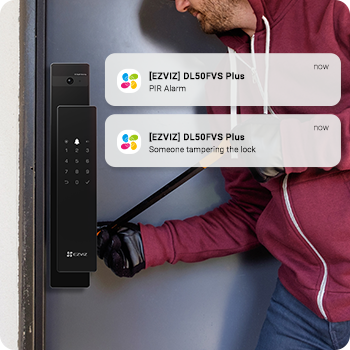 DL50FVS Plus Face Recognition & Palm Vein Smart Lock