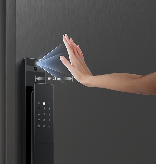 DL50FVS Plus Face Recognition & Palm Vein Smart Lock