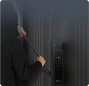 DL50FVS Plus Face Recognition & Palm Vein Smart Lock