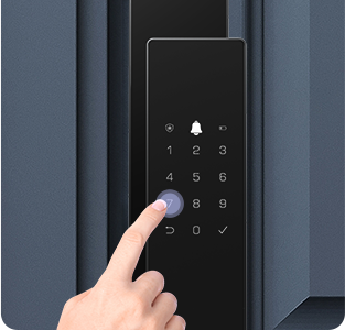 DL50FVS Plus Face Recognition & Palm Vein Smart Lock