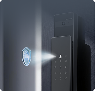 DL50FVS Plus Face Recognition & Palm Vein Smart Lock