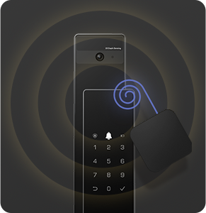 DL50FVS Plus Face Recognition & Palm Vein Smart Lock