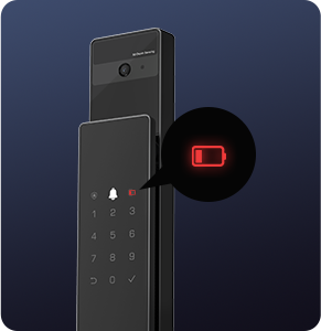 DL50FVS Plus Face Recognition & Palm Vein Smart Lock