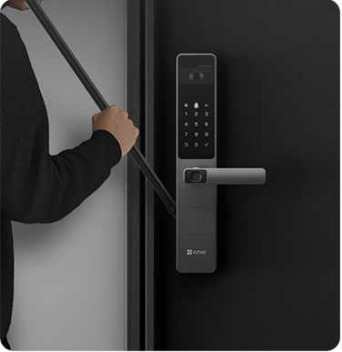 EZVIZ DL20FVS Plus Face Recognition & Palm Vein Handheld Smart Lock