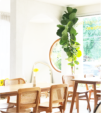 ss Brightly exposed indoor dining area