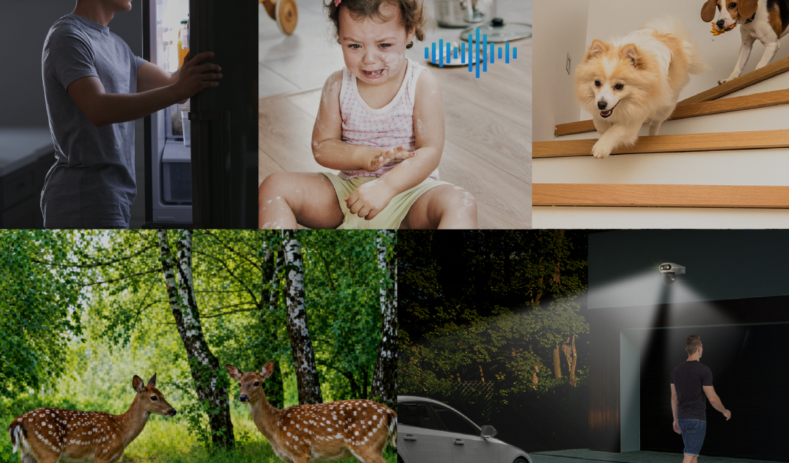 Universal Object Detection